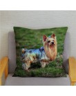 Mini Yorkshire Terrier funda de almohada perro 45*45 funda de cojín súper suave de felpa corta funda de almohadas decoración del