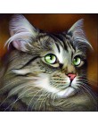 Kit de pintura de diamantes 5D de resina de gato mosaico cuadrado redondo completo Venta de bordado animales de dibujos animados