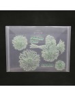 5 unids/set troqueles de corte de Metal transparente para DIY álbum de fotos grabado decorativo tarjetas de papel nuevas bolsas 