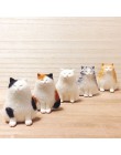 Accesorios para manualidades no terminados aguja hecha a mano Kit de fieltro de lana paquete de Material gato gatito Animal
