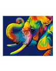 Cuadro abstracto MURAN pintura al óleo DIY pintura por números colorear por números animales coloridos decoración del hogar 40X5
