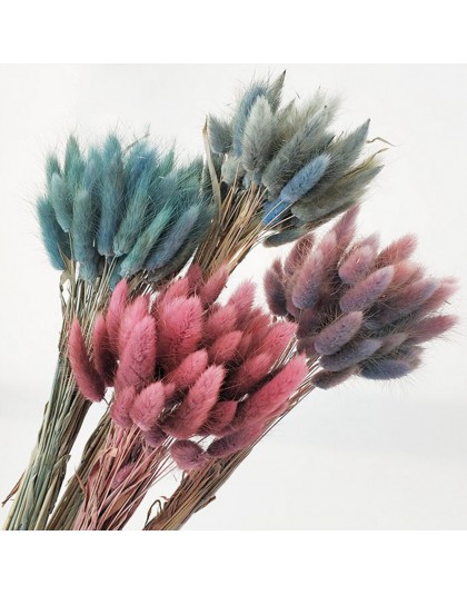 30 unids/lote gradiente Lagurus Ovatus ramo de flores secas naturales para bodas decoración del hogar hierba de cola de conejo f