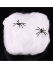 Accesorios de la escena de la fiesta de miedo de Halloween blanco elástico telaraña Web Horror decoración de Halloween para Bar 