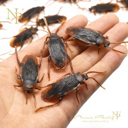 Nicro 12 Uds., divertida cucaracha falsa, decoración de Halloween, broches, broches, novedad, trucos, simulación, falsa cucarach