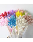 30 unids/lote de flores secas naturales colorido Lagurus Ovatus ramo de flores reales para la decoración de la boda en el hogar