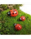 10 Uds escarabajo de madera Artificial dibujos animados Mini siete estrellas mariquita musgo Micro paisaje arte decoración DIY j