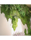 Planta verde artificial de alta calidad flor artificial falsa musgo hierba hogar sala de estar pared decorativa DIY flor mini Ac
