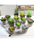 Xuanxiaotong Mini plantas artificiales vivos Cactus suculentas decoración del hogar planta bonsái para mesa de oficina plantas s