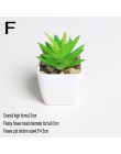 Xuanxiaotong Mini plantas artificiales vivos Cactus suculentas decoración del hogar planta bonsái para mesa de oficina plantas s