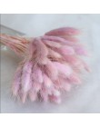 60 unids/lote jardín conejo cola hierba conservada flor fresca flores secas naturales ramo boda decoración del hogar