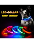 USB de carga Led cuello para perro Anti-Pérdida/evitar accidentes de coche Collar para perros cachorros collares para perros LED