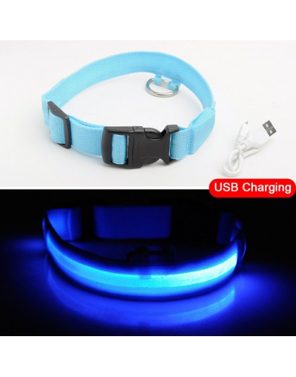 USB de carga Led cuello para perro Anti-Pérdida/evitar accidentes de coche Collar para perros cachorros collares para perros LED