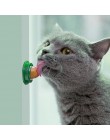 Catnip gato saludable azúcar gatos refrigerios lamer caramelo de la alimentación bola de energía juguetes para gato gatito jugan