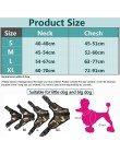 [TAILUP] productos para mascotas para arnés grande para perros k9 cuello Led brillante cachorro plomo mascotas chaleco accesorio