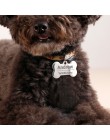Collares y arnés para perros personalizados hoja personalizada para perros etiquetas de perro personalizadas cuello grabado Nomb