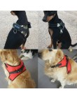 [TAILUP] productos para mascotas para arnés grande para perros k9 cuello Led brillante cachorro plomo mascotas chaleco accesorio