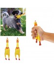 Juguetes para mascotas y perros de juguete con sonido de compresión de pollo, producto de descompresión, chirriante, herramienta