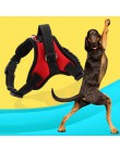 Arnés de Nylon para perros chaleco cinta reflectante malla respirable para mascota perros Correa arnés productos para mascotas M