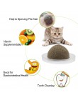 Juguete de Catnip Natural gato loco saludable Catmint juguetes para gatos gatito Kedi limpieza dientes jugar pelota gato suminis