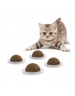 Mascota gato hierba gatera natural Treat Ball Favor colgar en la pared persecución en casa juguetes seguro comestible tratamient