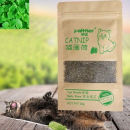 Juguete de gato nuevo 100% orgánico Natural hierba de gato Premium 10g sabor mentolado gatos de juguete graciosos no tóxicos Env
