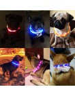 USB recargable parpadeante noche collares de perro Collar de mascota luminoso LED luz USB perro cuello brillante Teddy Flash Col