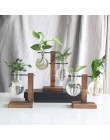 Vidrio y madera jarrón maceta terrario mesa escritorio hidropónica planta bonsái maceta colgante macetas con bandeja de madera d