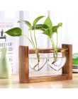 Vidrio y madera jarrón maceta terrario mesa escritorio hidropónica planta bonsái maceta colgante macetas con bandeja de madera d