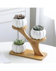 Maceta de plantas suculentas blancas simples, sostenedor de cerámica, búho, calabaza, patrón, maceta, en forma de taza de Bambú