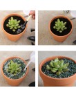 10 Uds. Mini maceta de terracota de arcilla maceta de cerámica macetas de Cactus macetas de flores suculentas macetas de guarder