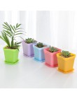 10 Uds./5 uds. Macetas cuadradas redondas macetas bandejas de plástico macetas pequeñas creativas para plantas suculentas decora