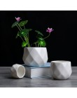 Maceta geométrica creativa de cerámica con diamantes, macetas simples y suculentas para plantas, plantadores verdes, pequeñas ma