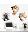 Caliente 3D lindo gatito pegatina de inodoro de la pared de dormitorio de los cabritos Deocration gato de dibujos animados never