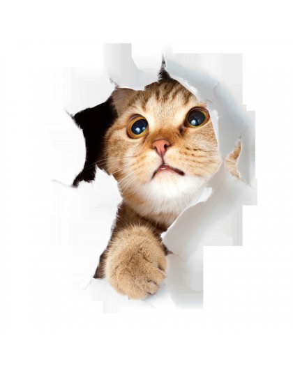 Caliente 3D lindo gatito pegatina de inodoro de la pared de dormitorio de los cabritos Deocration gato de dibujos animados never