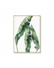 Acuarela hojas pared arte lienzo pintura planta de estilo verde carteles nórdicos e impresiones imagen decorativa decoración mod