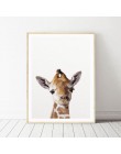 León cebra elefante jirafa bebé animales arte imprimir cartel, animales de Safari cuadro lienzo pintura niños habitación decorac