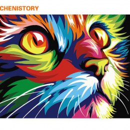 CHENISTORY gato sin marco animales DIY pintura por números Kits para colorear por números regalo único hogar pared arte decoraci