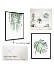 Zona de arte hojas de plantas tropicales lienzo impresión arte cartel nórdico pared con planta verde imágenes niños habitación p