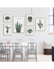 Elegante Impresión de planta verde elegante imagen hogar Decoración de Hotel regalo (sin marco)