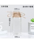 Jarrones de vidrio nórdico creativo decoración de mesa de sala de estar hidropónicos de agua transparente soga de flor jarrón de