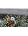 Lindos búhos animales figuras resina figuras en miniatura para bonsái y manualidades ollas hogar hadas adornos de jardín decorac