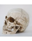 Estatuas escultura resina Halloween decoración del hogar artesanía decorativa cráneo tamaño 1:1 modelo vida réplica médica de al