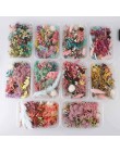 1 caja de Plantas secas de flores secas reales para vela de aromaterapia colgante de resina epoxi collar fabricación de joyas ac
