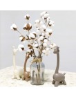 Rama Floral de plantas artificiales con flores de algodón secado natural para decoración de fiesta de boda flores falsas decorac