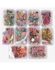 1 caja de plantas de flores secas reales coloridas para vela de aromaterapia colgante de resina epoxi collar de joyería que hace