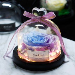 La Bella y La Bestia Rosa flor eterno preservada en cúpula de cristal decoración de boda Día de San Valentín regalo de fiesta de