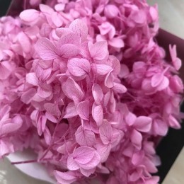 3 g/lote de alta calidad flores naturales frescas conservadas cabeza de flor de hortensia secas para bricolaje Material de flore