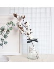 Natural secado de tallos de algodón granja Artificial flor relleno decoración Floral falso algodón flor decoración para el hogar