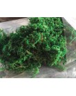 50g-100g Natural bolsa de musgo verde real seco florero plantas decorativas césped artificial Flor de seda accesorios para la de