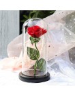 2019 rosa roja La Bella y La Bestia en una cúpula de cristal sobre una Base de madera para regalos de San Valentín